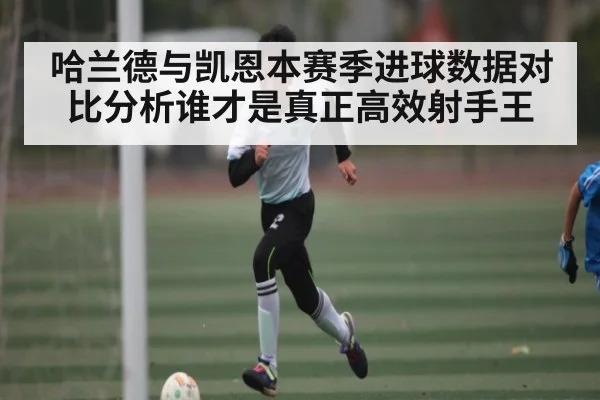 哈兰德与凯恩本赛季进球数据对比分析谁才是真正高效射手王 | www.c7c7.app